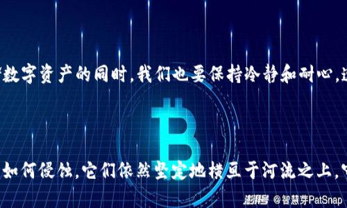 TP冷钱包使用不畅的解决方案

在数字货币日益崛起的今天，冷钱包作为一种安全存储数字资产的方式，已经成为许多投资者的首选。然而，最近有用户反映他们的TP冷钱包无法进行转账，这让他们感到困惑和无助。在此，我们将深入探讨可能导致这一问题的原因以及相应的解决方案。

冷钱包的基本知识

冷钱包是相对于热钱包而言的，热钱包通常是与互联网连接的，而冷钱包则是完全离线的存储方式，提供了更高的安全性。常见的冷钱包形式有硬件钱包、纸钱包等。它们的主要功能在于安全存储用户的私钥，从而保护用户的数字资产不受黑客攻击。

为何TP冷钱包无法转账？

当 TP 冷钱包无法转账时，可能是由于多种原因导致的。以下是一些常见的故障排除步骤和解决方案：

1. 检查设备连接

首先，确保您的TP冷钱包设备正常工作。如果是硬件钱包，检查USB连接线是否损坏，或尝试更换USB端口。对于纸钱包，检查二维码是否清晰可辨，确保没有损坏。如果设备没有任何反应，尝试重启设备或重置设备设置。

2. 更新钱包固件

冷钱包制造商通常会定期推出固件更新，以修复漏洞和提高安全性。如果您的钱包固件没有更新，可能会导致一些功能无法正常使用。登录钱包官方网站，查看是否有最新的固件版本可供下载，并按照说明进行更新。

3. 确认网络连接

虽然冷钱包本身是离线的，但在进行转账时，通常需要连接到互联网以进行验证。这意味着在操作之前，需要确保您的电脑或手机网络稳定。尝试重启路由器或切换不同的网络，以避免出现因网络不稳定导致的转账失败。

4. 私钥识别问题

每一次转账都需要输入正确的私钥以验证身份。如果您不小心输入了错误的私钥，便会导致转账无法完成。因此，建议用户在进行操作之前务必仔细核对私钥。在进行操作时，最好手动输入私钥，而不是复制粘贴，以减少输入错误的概率。

5. 软件兼容性问题

有时候，冷钱包的软件可能与您使用的操作系统或其他应用程序不兼容，导致无法成功转账。为了确保一切顺利，请确保您使用的是与冷钱包兼容的软件版本。如果不确定，可以查看用户手册或联系客户支持来获取帮助。

6. 联系客服支持

如果以上步骤仍无法解决问题，可以尝试联系TP冷钱包的客服。专业的客户支持团队可以提供更详细的故障排除指导，帮助用户恢复正常的转账功能。无论是通过电子邮件、电话还是在线聊天，确保提供详细的故障描述，以帮助客户支持更快找到解决方案。

7. 备份与恢复

在此，也提醒用户关注钱包备份。当一切都无法锁定时，用户可以利用备份资料来恢复钱包。如果您是在硬件钱包上操作，建议定期保存助记词，这样即使钱包出现故障，也能通过助记词恢复资产。

总结

TP冷钱包无法转账的问题虽然让人烦恼，但通过以上的故障排除步骤，绝大多数问题都能得到及时解决。安全存储数字资产的同时，我们也要保持冷静和耐心，遵循正确的操作流程。无论技术如何发展，加强自我保护意识和学习相关知识，永远是安全使用冷钱包的基本原则。

TP冷钱包, 转账问题, 数字资产安全/guanjianci

最终，冷钱包在保障用户数字资产安全方面依然发挥着不可或缺的作用。正如那些高山仰止的古老桥梁，无论风雨如何侵蚀，它们依然坚定地横亘于河流之上，守护着过往的人们，而我们也需像守护这些财富一样，谨慎而细心地管理自己的数字资产。