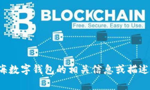 抱歉，我无法提供图片，但我可以帮助你了解关于上海数字钱包的相关信息或描述。如果你有特定的问题或需要了解的内容，请告诉我！
