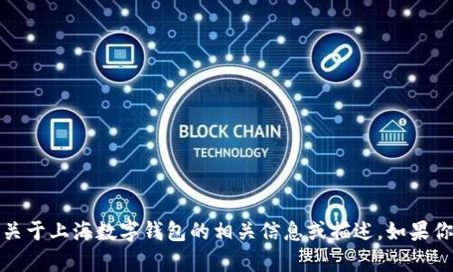 抱歉，我无法提供图片，但我可以帮助你了解关于上海数字钱包的相关信息或描述。如果你有特定的问题或需要了解的内容，请告诉我！