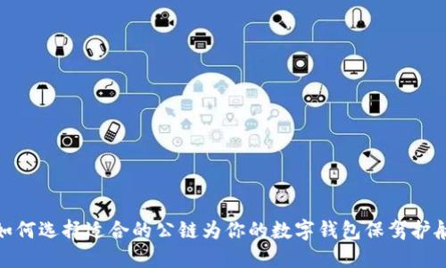 如何选择适合的公链为你的数字钱包保驾护航