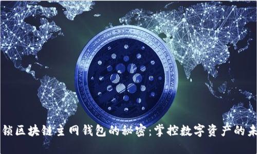 解锁区块链主网钱包的秘密：掌控数字资产的未来