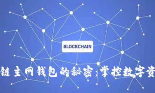 解锁区块链主网钱包的秘密：掌控数字资产的未来