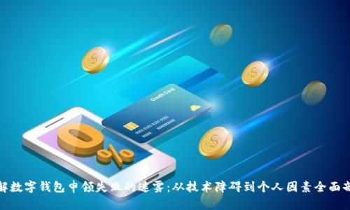 破解数字钱包申领失败的迷雾：从技术障碍到个人因素全面剖析