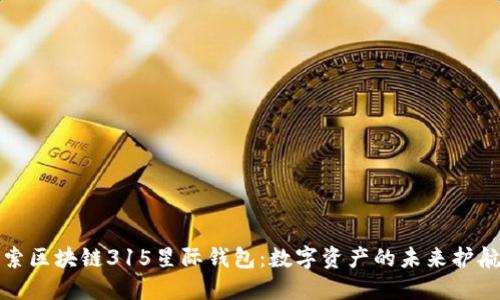 探索区块链315星际钱包：数字资产的未来护航者