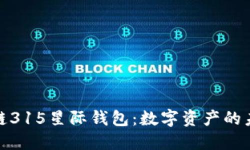 探索区块链315星际钱包：数字资产的未来护航者