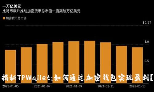 揭秘TPWallet：如何通过加密钱包实现盈利？