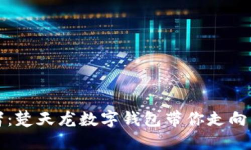数字时代的护航者：楚天龙数字钱包带你走向智能支付的新未来