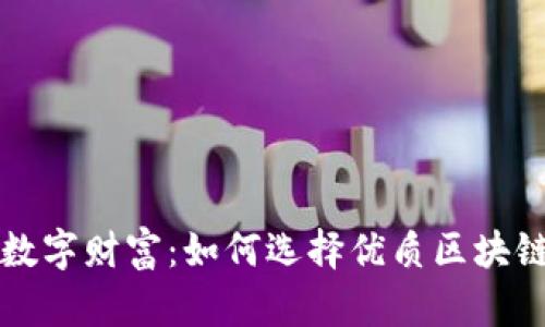 守护你的数字财富：如何选择优质区块链安全钱包