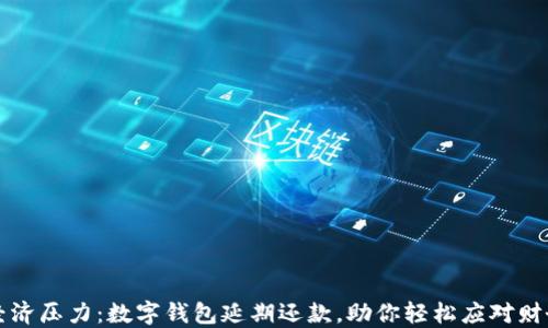 
解除经济压力：数字钱包延期还款，助你轻松应对财务挑战
