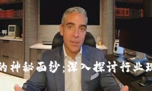 揭开加密钱包的神秘面纱：深入探讨行业现状与未来趋势