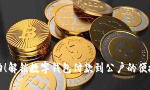 赶快行动！解锁数字钱包付款到公户的便捷新方式