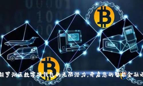 解锁罗湖区数字硬钱包的无限潜力，开启您的智能金融之旅