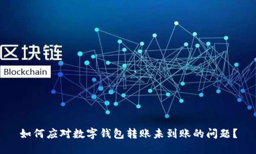 如何应对数字钱包转账未到账的问题？