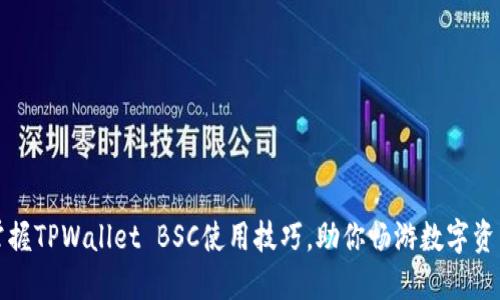 轻松掌握TPWallet BSC使用技巧，助你畅游数字资产世界
