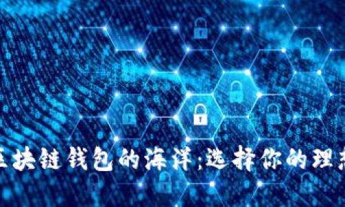 探索全球区块链钱包的海洋：选择你的理想数字财宝