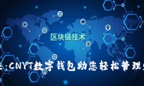 未来已来：CNYT数字钱包助您轻松管理财经世界