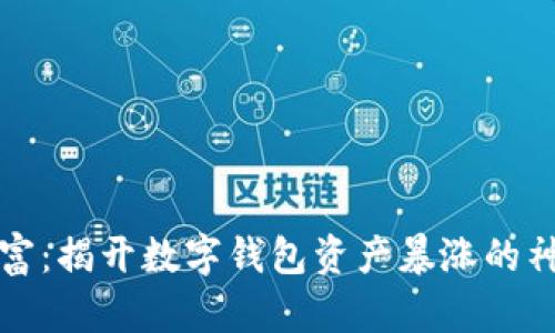 意外财富：揭开数字钱包资产暴涨的神秘面纱