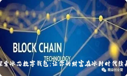 探索冰芯数字钱包：让你的财富在冰封时代续航