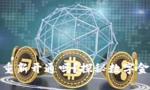 数字钱包挂失后还能重新开通吗？探秘数字金融的安全性与便捷性