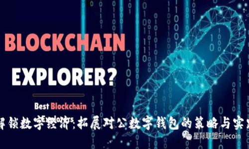 解锁数字经济：拓展对公数字钱包的策略与实践