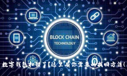 数字钱包扫错了？这里有你需要的找回方法！