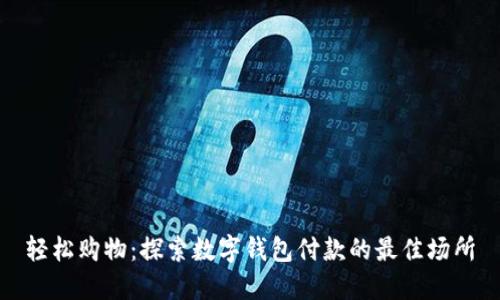 轻松购物：探索数字钱包付款的最佳场所