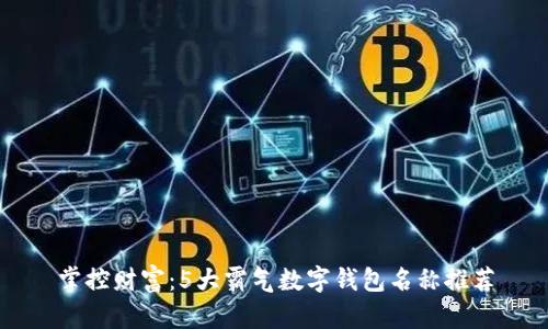 掌控财富：5大霸气数字钱包名称推荐