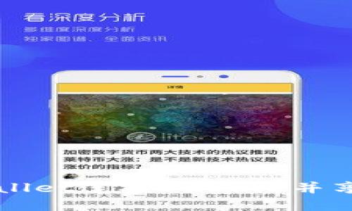 如何在电脑上使用TPWallet连接DxSale并享受加密资产的便捷管理