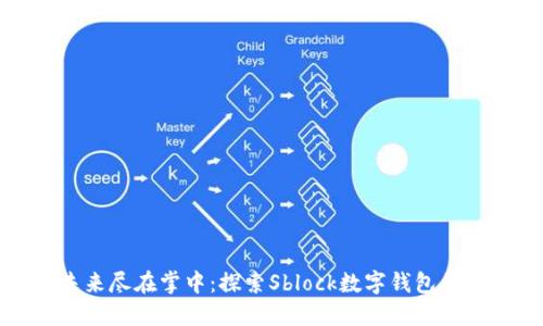 数字化未来尽在掌中：探索Sblock数字钱包的无限可能